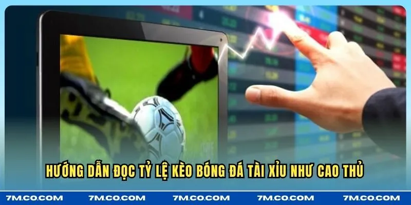 Hướng dẫn đọc tỷ lệ kèo bóng đá Tài Xỉu như cao thủ